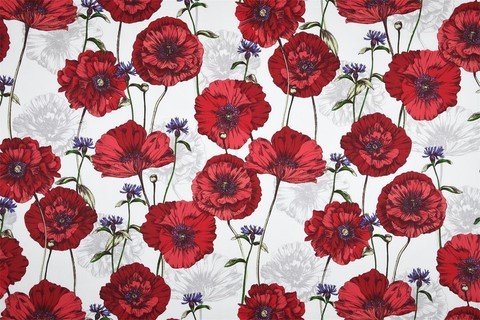 Papaver Rouge