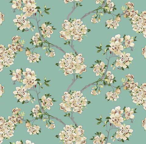 Prunus Prairie